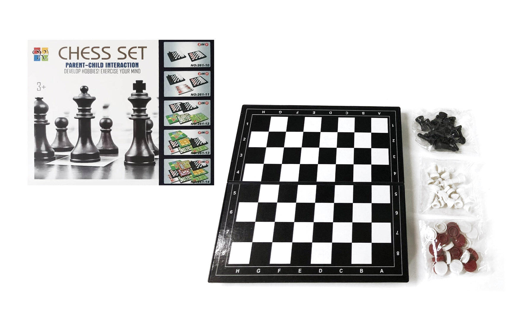 2 IN 1 CHESS GAME